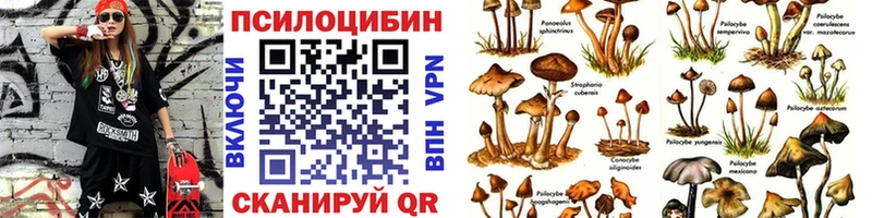 Галлюциногенные грибы Psilocybe  Нижний Новгород 
