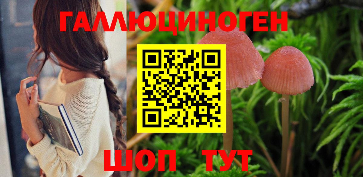 как найти   Псилоцибиновые грибы Magic Shrooms  Галлюциногенные грибы Psilocybe  Вход с VPN  Нижний Новгород 